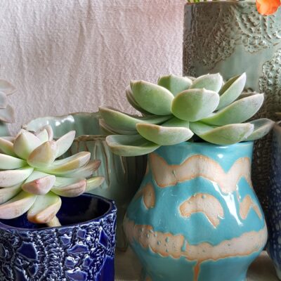 Succulent Planter/Vase